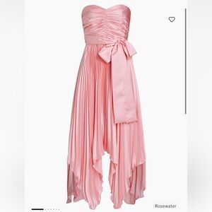 Amur Rosewater Khloe Pleated Dress Size 6